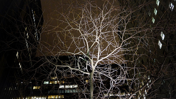 Nightscapes