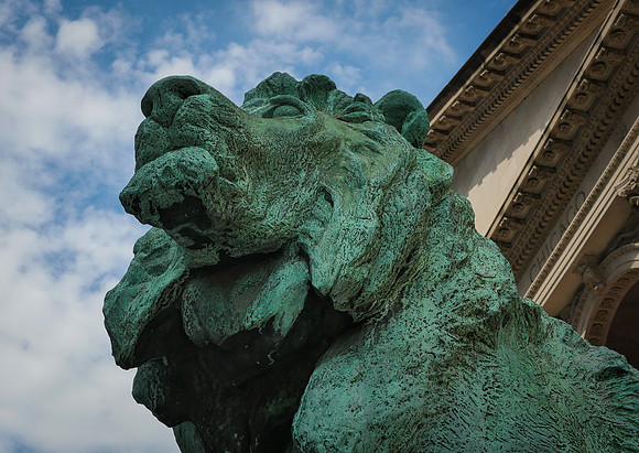 The Lion guarding Michigan Avenue