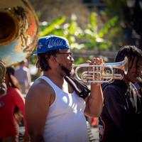 Jazz01SM-1099886