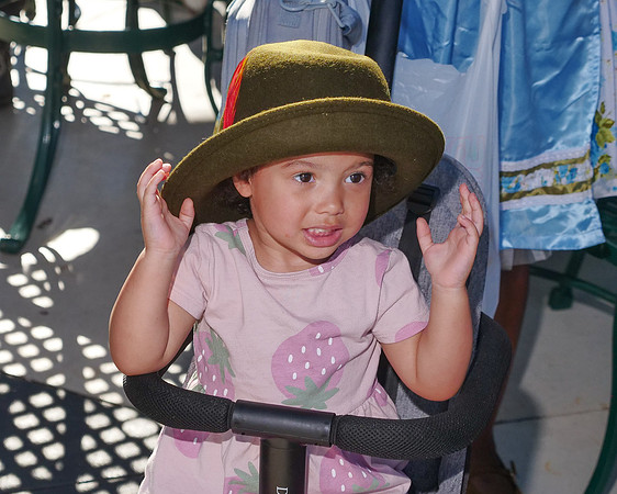 DH_101026 Selects SMALL-1088498