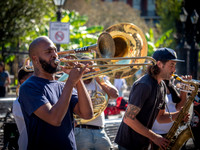 Jazz01SM-1099780